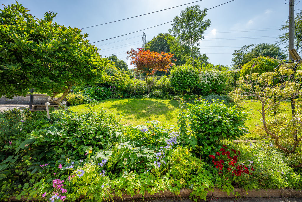 Garden- click for photo gallery
